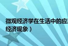 微观经济学在生活中的应用论文（微观经济学解释生活中的经济现象）
