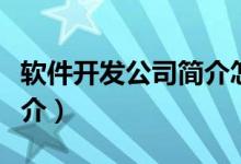 软件开发公司简介怎么写好（软件开发公司简介）