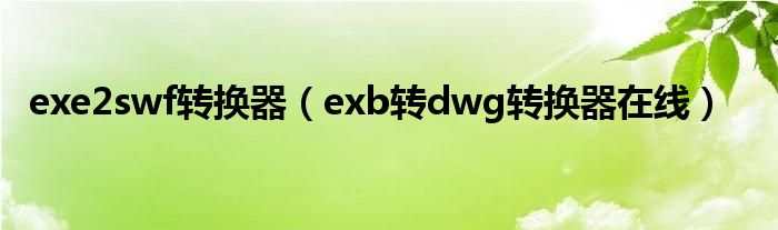 exe2swf转换器（exb转dwg转换器在线）