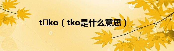 t ko（tko是什么意思）