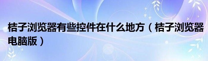 桔子浏览器有些控件在什么地方（桔子浏览器电脑版）