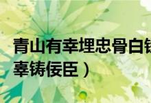 青山有幸埋忠骨白铁无辜铸佞臣赏析（白铁无辜铸佞臣）
