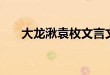 大龙湫袁枚文言文翻译（大龙湫袁枚）