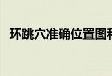 环跳穴准确位置图和作用及功效（环跳穴）