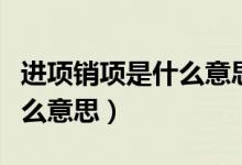 进项销项是什么意思举例说明（进项销项是什么意思）