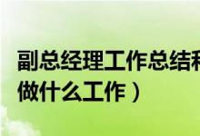 副总经理工作总结和工作计划(常务副总经理做什么工作)