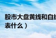 股市大盘黄线和白线代表什么（黄线和白线代表什么）
