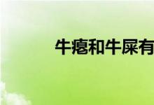 牛瘪和牛屎有什么区别（牛瘪）