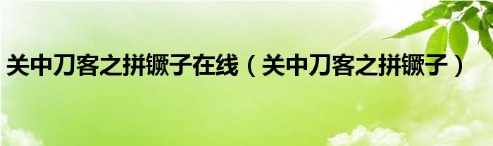 关中刀客之拼镢子在线（关中刀客之拼镢子）