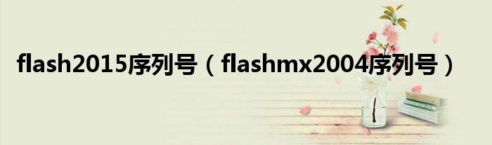 flash2015序列号（flashmx2004序列号）