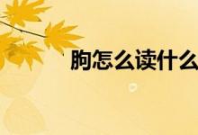 朐怎么读什么意思（朐怎么读）