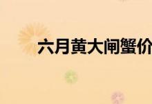 六月黄大闸蟹价格（六月黄大闸蟹）