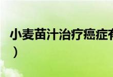小麦苗汁治疗癌症有用吗（小麦苗汁治疗癌症）