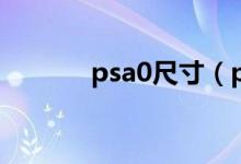 psa0尺寸（psa3尺寸是多少）