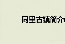 同里古镇简介r（同里古镇简介）