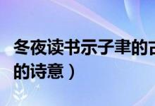 冬夜读书示子聿的古诗诗意（冬夜读书示子聿的诗意）
