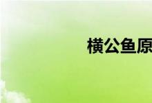 横公鱼原型（横公鱼）