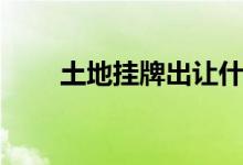 土地挂牌出让什么意思（土地挂牌）