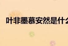 叶非墨慕安然是什么小说（叶非墨慕安然）