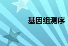 基因组测序（等位基因图解）
