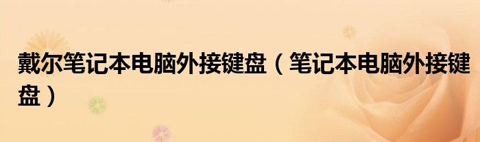 戴尔笔记本电脑外接键盘（笔记本电脑外接键盘）