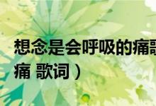 想念是会呼吸的痛歌词意思（想念是会呼吸的痛 歌词）