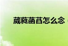 葳蕤菡萏怎么念（旖旎的读音和意思）