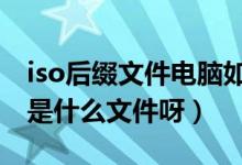 iso后缀文件电脑如何打开（后缀名 ISO文件是什么文件呀）