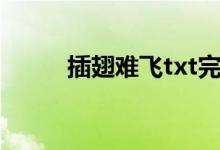 插翅难飞txt完整（插翅难飞txt）