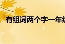 有组词两个字一年级上册（有组词两个字）