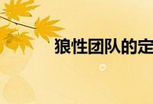 狼性团队的定义（团队的定义）