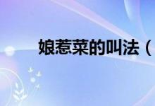 娘惹菜的叫法（娘惹菜是什么意思）