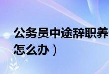 公务员中途辞职养老（公务员辞职 养老保险怎么办）