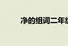 净的组词二年级下册（净的组词）