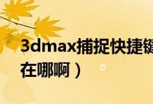 3dmax捕捉快捷键（3dMAX的捕捉点设置在哪啊）