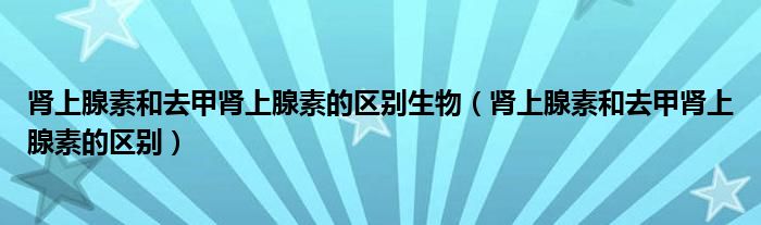 肾上腺素和去甲肾上腺素的区别生物（肾上腺素和去甲肾上腺素的区别）