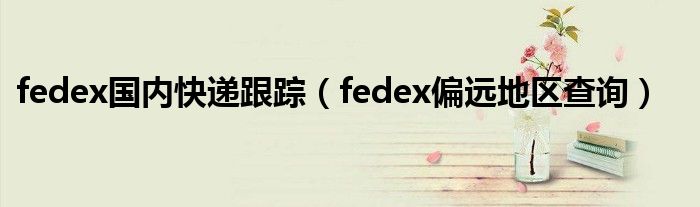 fedex国内快递跟踪（fedex偏远地区查询）