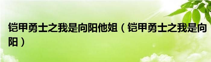 铠甲勇士之我是向阳他姐（铠甲勇士之我是向阳）