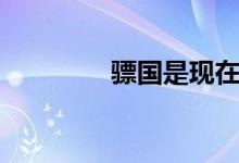 骠国是现在的哪里（骠国）