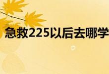 急救225以后去哪学怀旧服（急救225 300）
