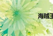 海贼王之猎艳记