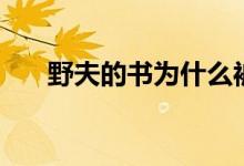 野夫的书为什么被禁（野夫为何入狱）