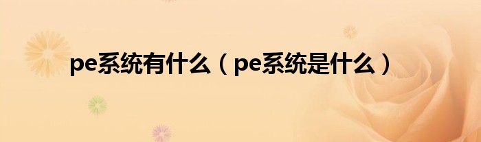 pe系统有什么（pe系统是什么）