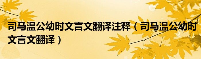 司马温公幼时文言文翻译注释（司马温公幼时文言文翻译）