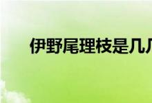 伊野尾理枝是几几年的（伊野尾理枝）