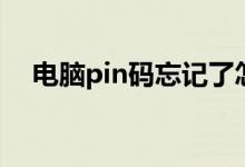 电脑pin码忘记了怎么开机（电脑pin码）