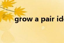 grow a pair idom（grow a pair）