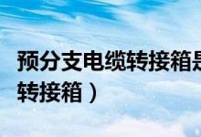 预分支电缆转接箱是否有电缆头（预分支电缆转接箱）