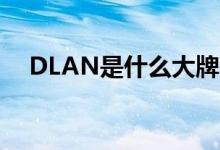 DLAN是什么大牌的标志（dlan是什么）