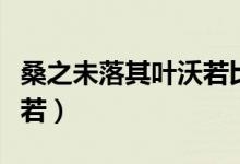 桑之未落其叶沃若比兴意义（桑之未落其叶沃若）